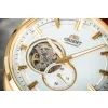 Orient Contemporary Semi-skeleton Automatic RA-AR0007S10B